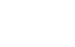 pig_white